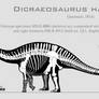 Dicraeosaurus hansemanni skeletal reconstruction