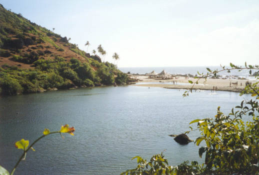 Goan Beach