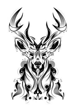 Wild Deer