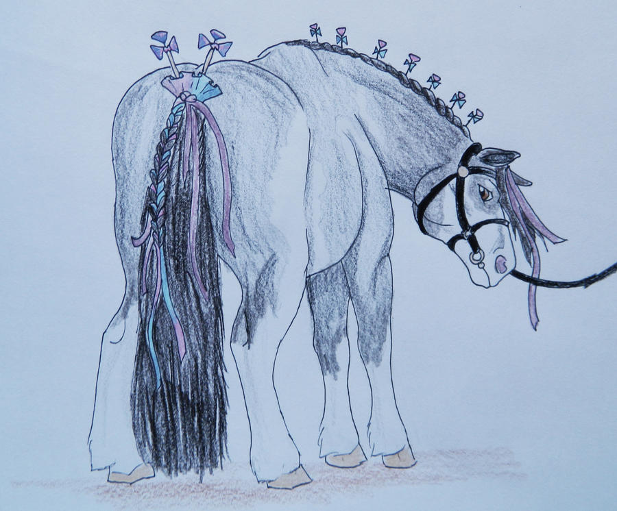 Canter for a Cure: Excessive Ribbons by Rising-High-Ranch on DeviantArt