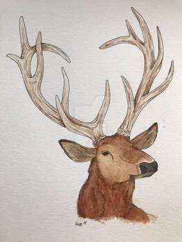Watercolor Elk