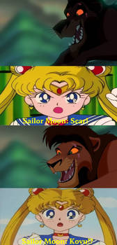 Sailor Moon witnesses Scar turning into Kovu