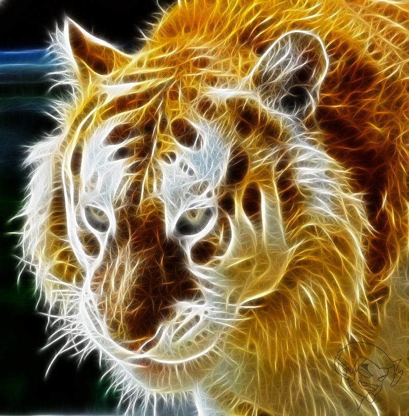 Golden Tiger by bastler on DeviantArt