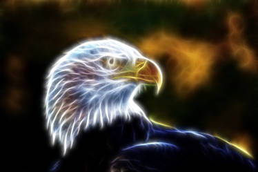 Fraq Eagle