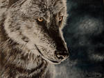 Wolf painting by May84