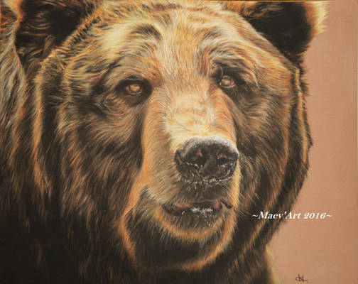 Bear Pastel