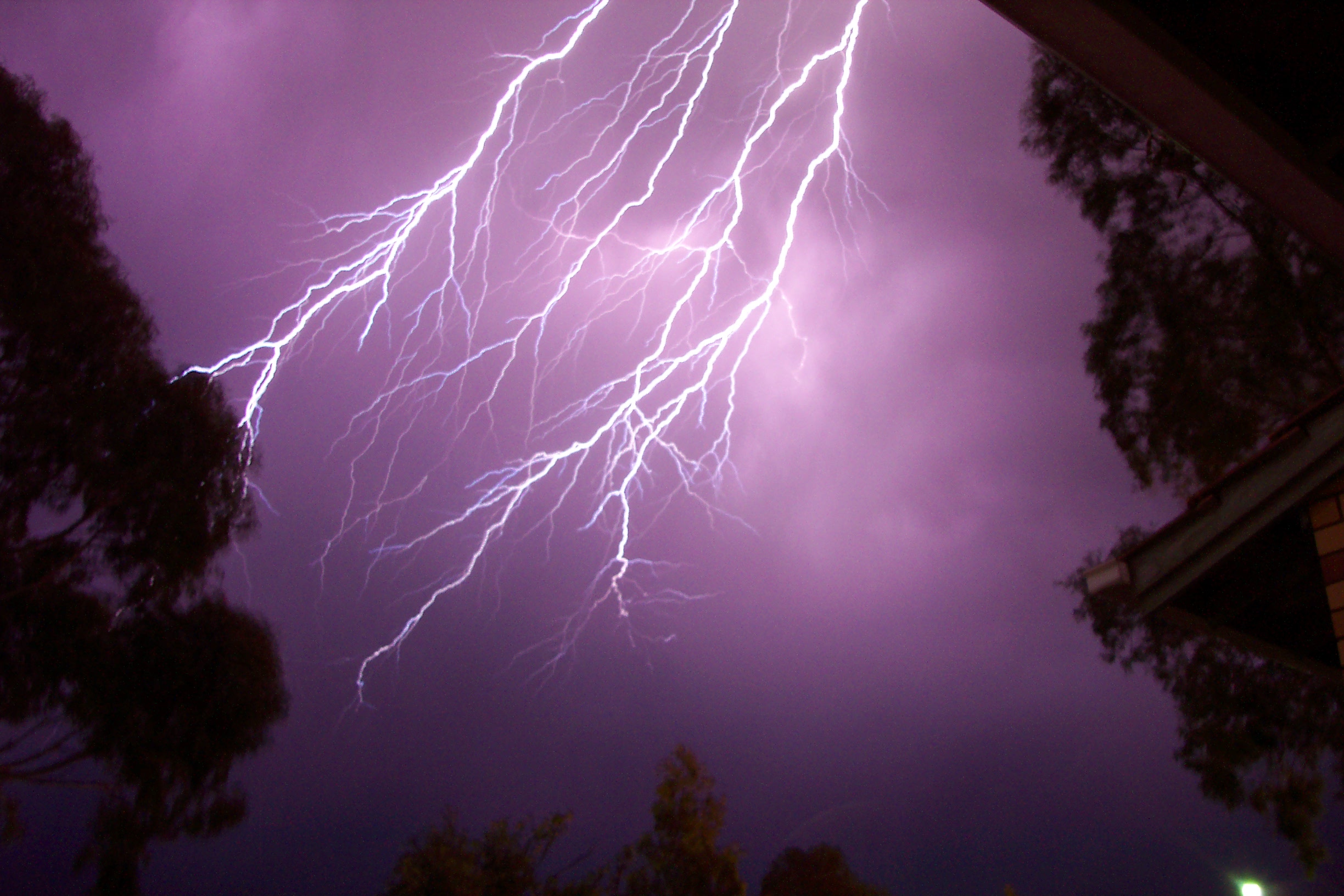 Adelaide Lightning