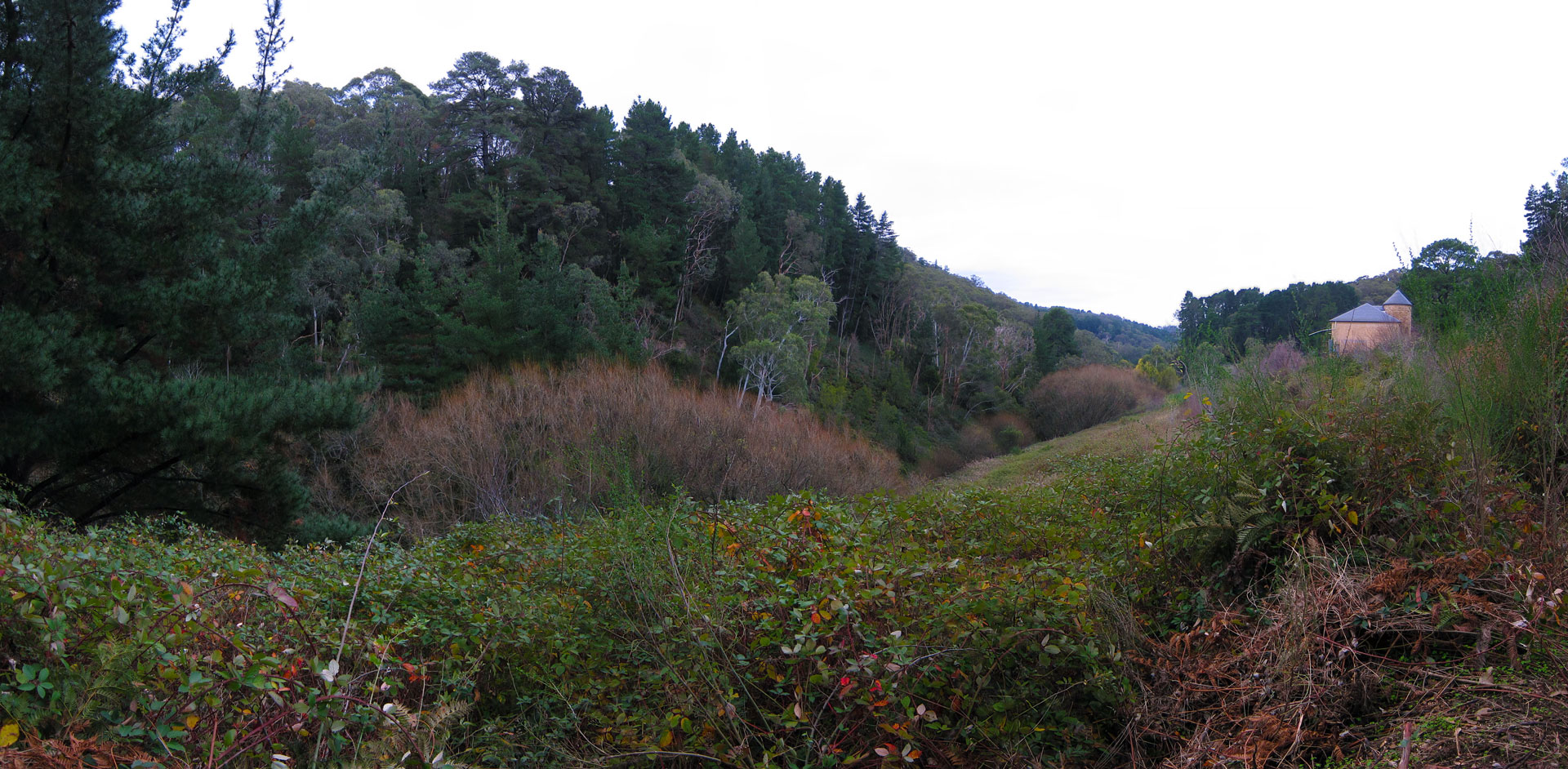 Valley of Deep Creek, Basket Range, SA