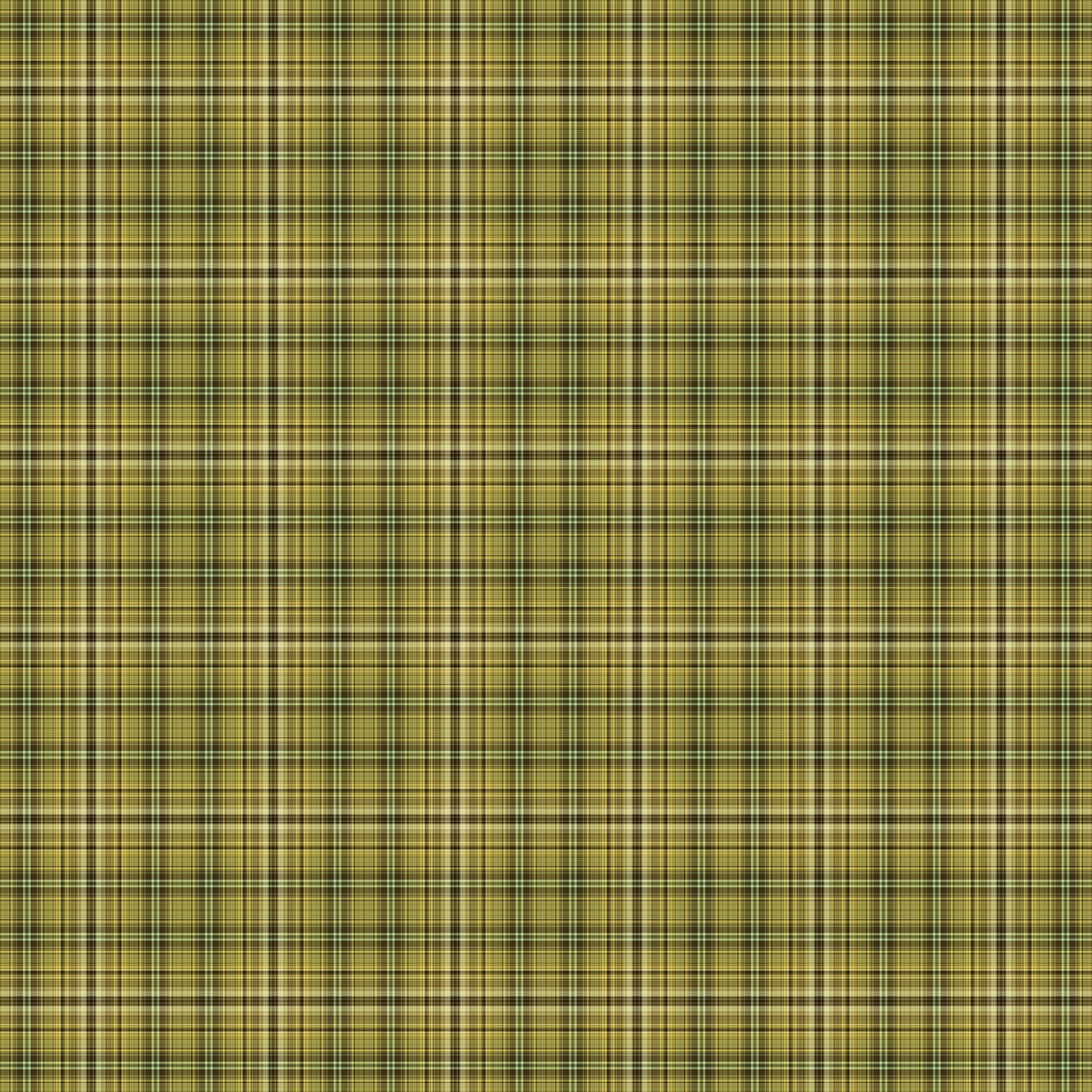 Plaid 655