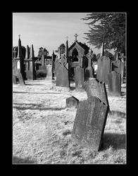 Glasnevin Cemetery XIII