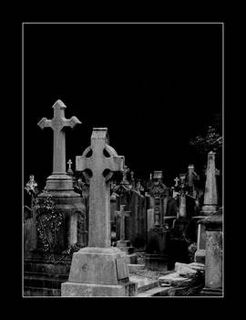 Glasnevin Cemetery V
