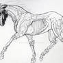 zombie/undead horse draft