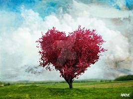 The Love Tree