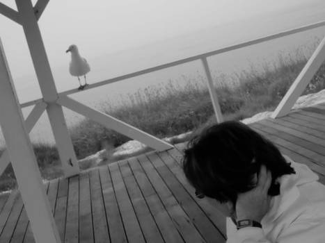 Mommy and Seagull