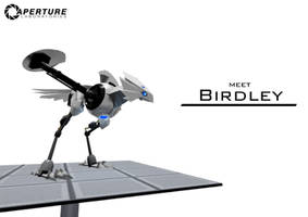 Meet Birdley - 3D animation