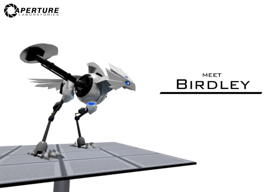 Meet Birdley - 3D animation