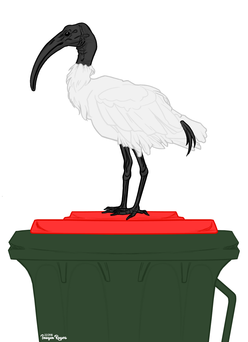 Origin Of Bin Chicken At Herbert Yamasaki Blog origin-of-bin-chicken-at-herbert-yamasaki-blog