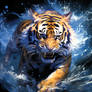 Ragin tiger in the deep. 