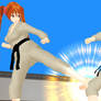 Martial arts Action illustration - KARATE (63)