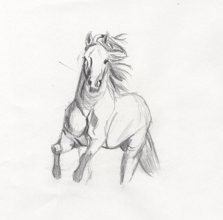 horse - quick sketch