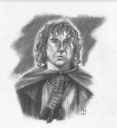 Peregrin Took