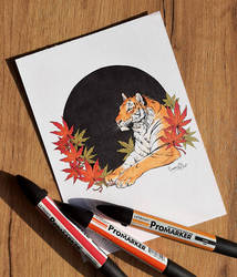 Momiji tiger