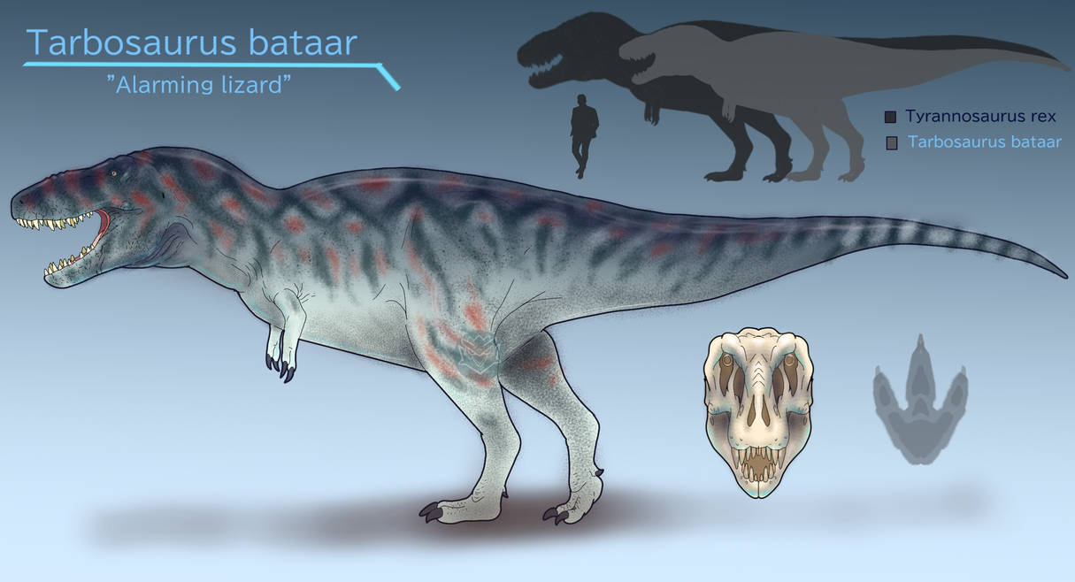 Tarbosaurus bataar by BangBooDoragon on DeviantArt