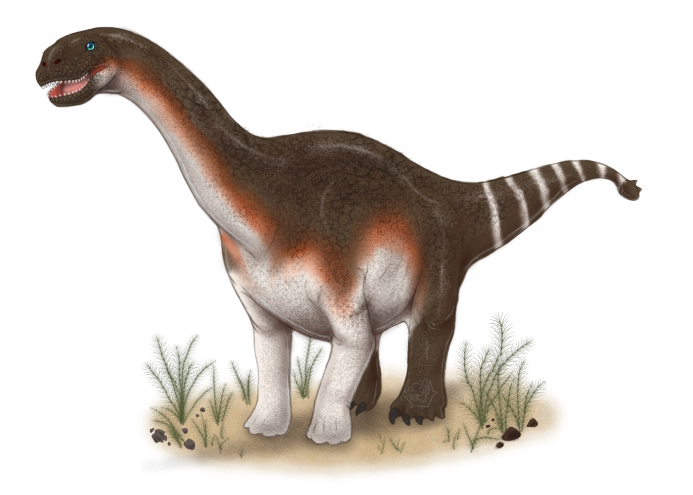 Hungasaurus Shunosaurus lii by BangBooDoragon on DeviantArt