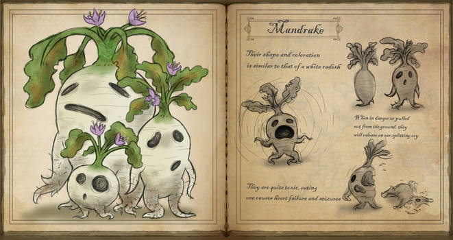 Mandrake