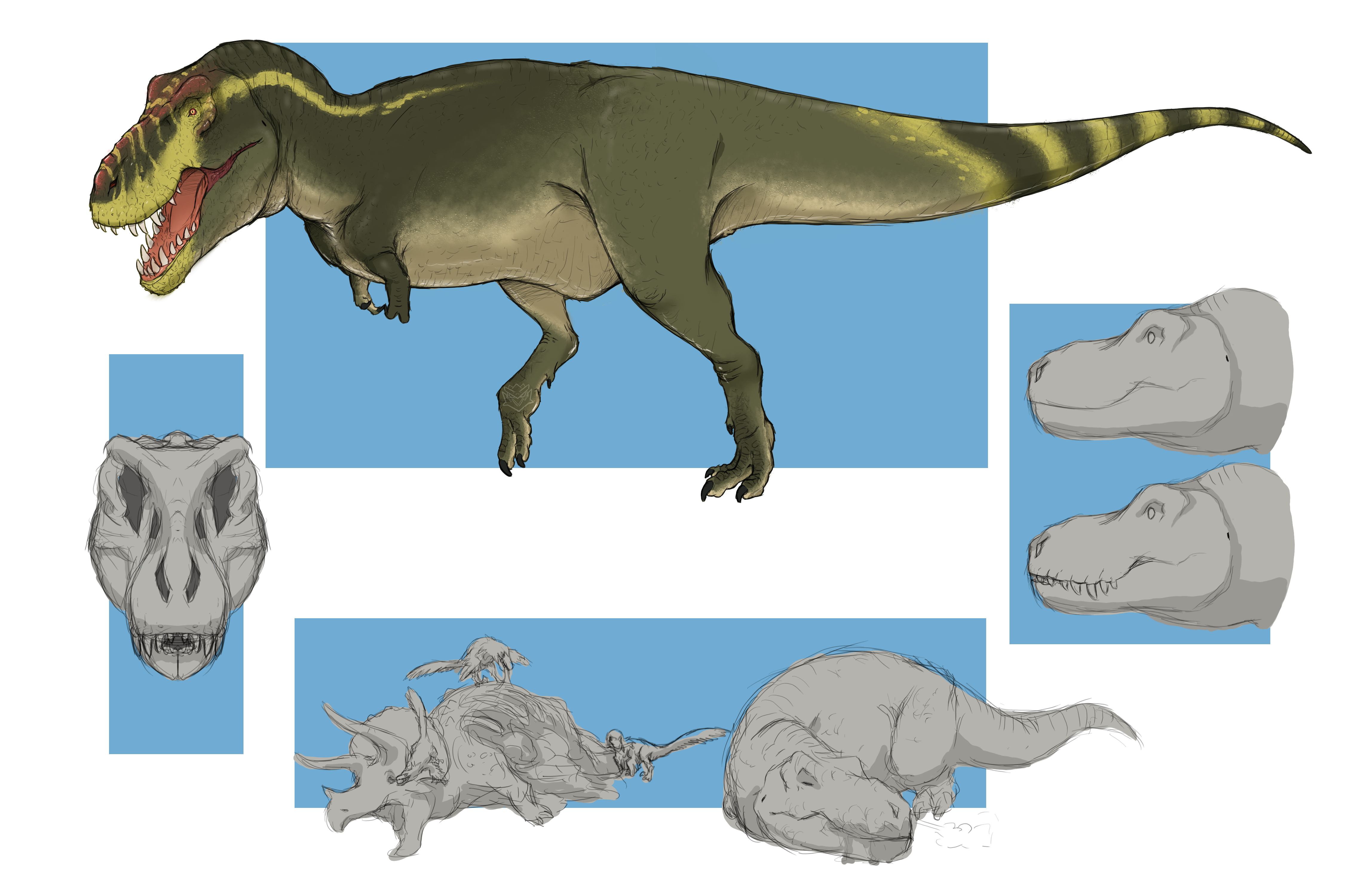 Carnotaurus for Wikipedia by FredtheDinosaurman on DeviantArt
