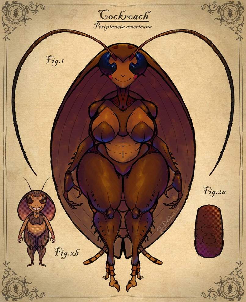 Scp Cockroach MGC Entomology Edition Day 2 - Cockroach by BangBooDoragon on DeviantArt
