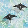 LG HD Challenge 0726 1224 - Spotted Rays