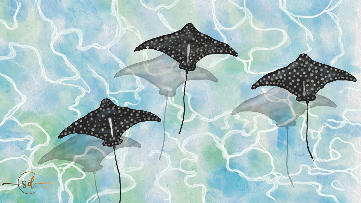 LG HD Challenge 0726 1224 - Spotted Rays