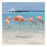 Krita Challenge 0926 Time For A Break Flamingos Bo