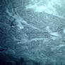 Frost Texture I