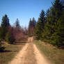 2-Track I