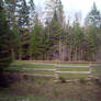 Fence, Woods II