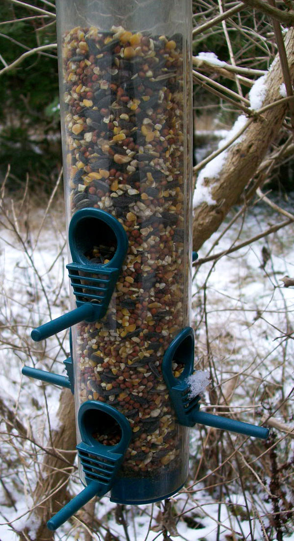 Bird Feeder I