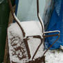 Snowy Wheelbarrow I