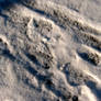 Snow and Mud Texture 2