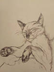 My cat Hendrick ^^ by OlegBeletskiy