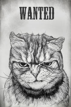 Wanted .