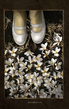 White Shoes and Flowers