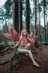 Forest Fairy - [2]