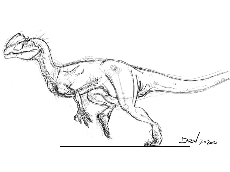 Dilophosaurus Witherilli By Saurian Sketcher On Deviantart