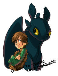 Hiccup and Toothless