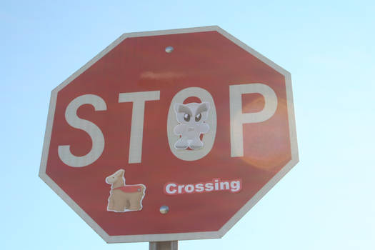 Stop, Llama Crossing