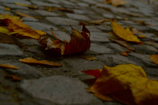 Fall in Berlin