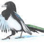 Magpie2