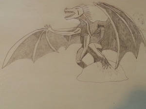 Wyvern